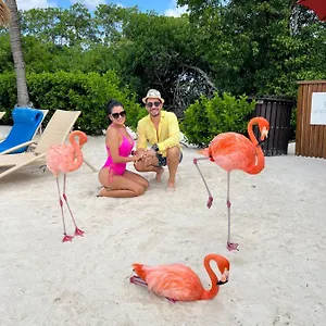 Bavaro Suites Pool Apartamento