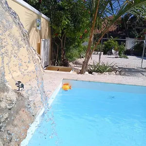 Ave Fenix Apartamento